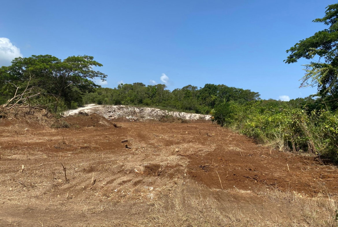 Third image of Lot 455 Duncans Avenue in DUNCAN BAY, Trelawny, Jamaica - property is For Sale