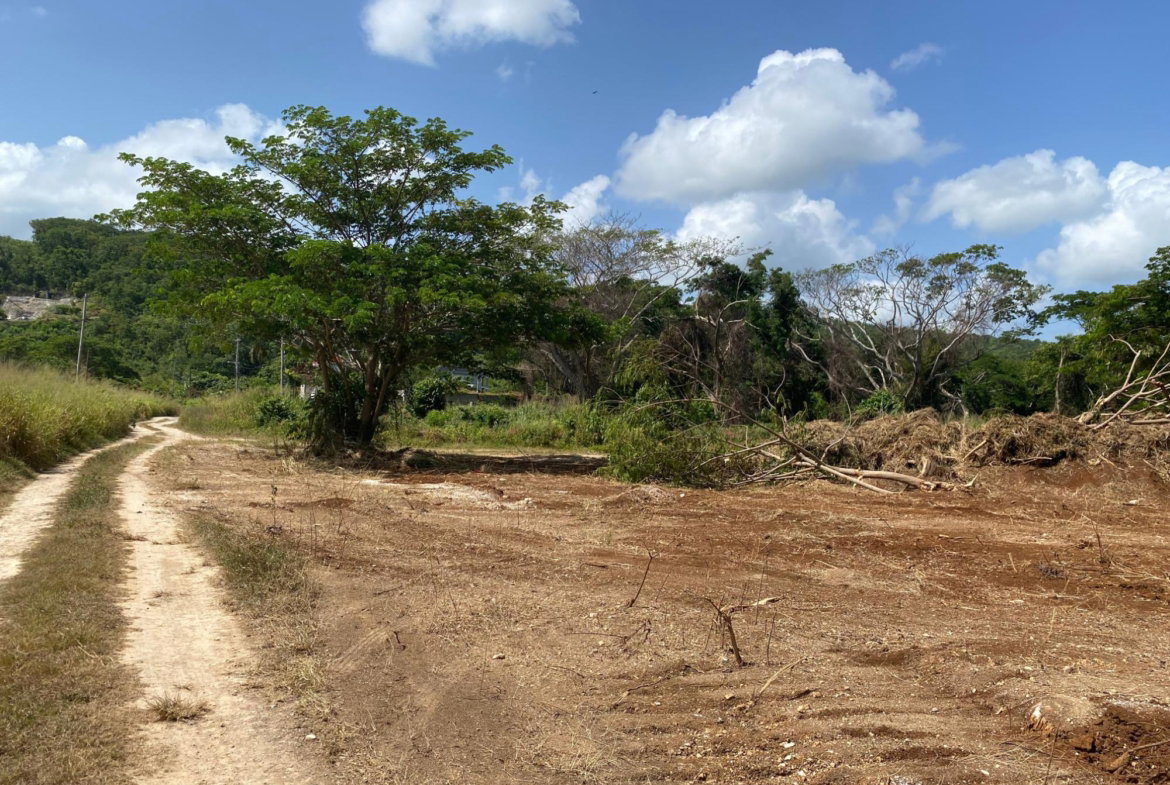 Twenty-Second image of Lot 455 Duncans Avenue in DUNCAN BAY, Trelawny, Jamaica - property is For Sale