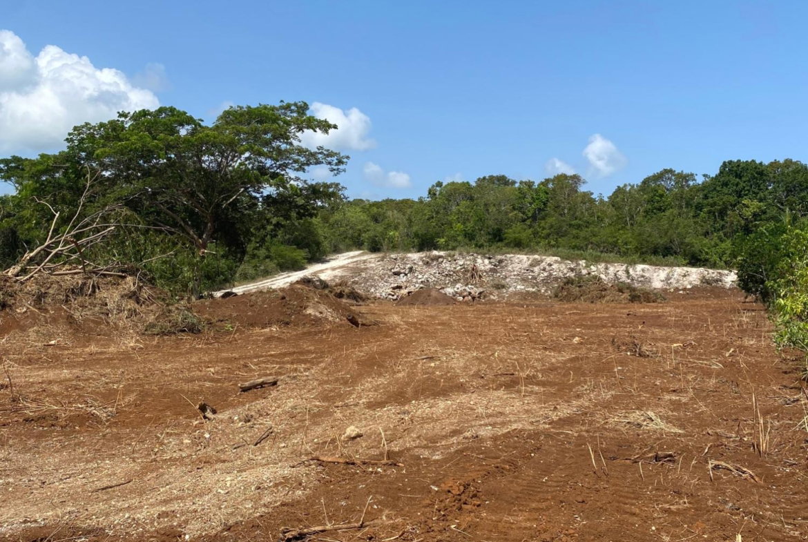 Twenty-Fourth image of Lot 455 Duncans Avenue in DUNCAN BAY, Trelawny, Jamaica - property is For Sale