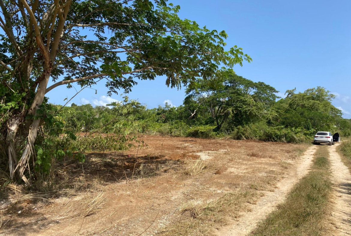 Twenty-Seventh image of Lot 455 Duncans Avenue in DUNCAN BAY, Trelawny, Jamaica - property is For Sale