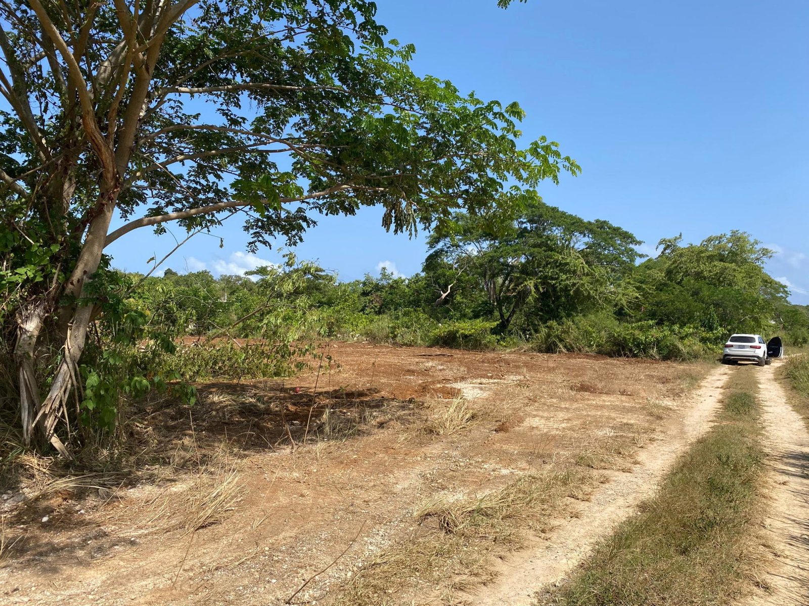 Twenty-Seventh image of Lot 455 Duncans Avenue in DUNCAN BAY, Trelawny, Jamaica - property is For Sale