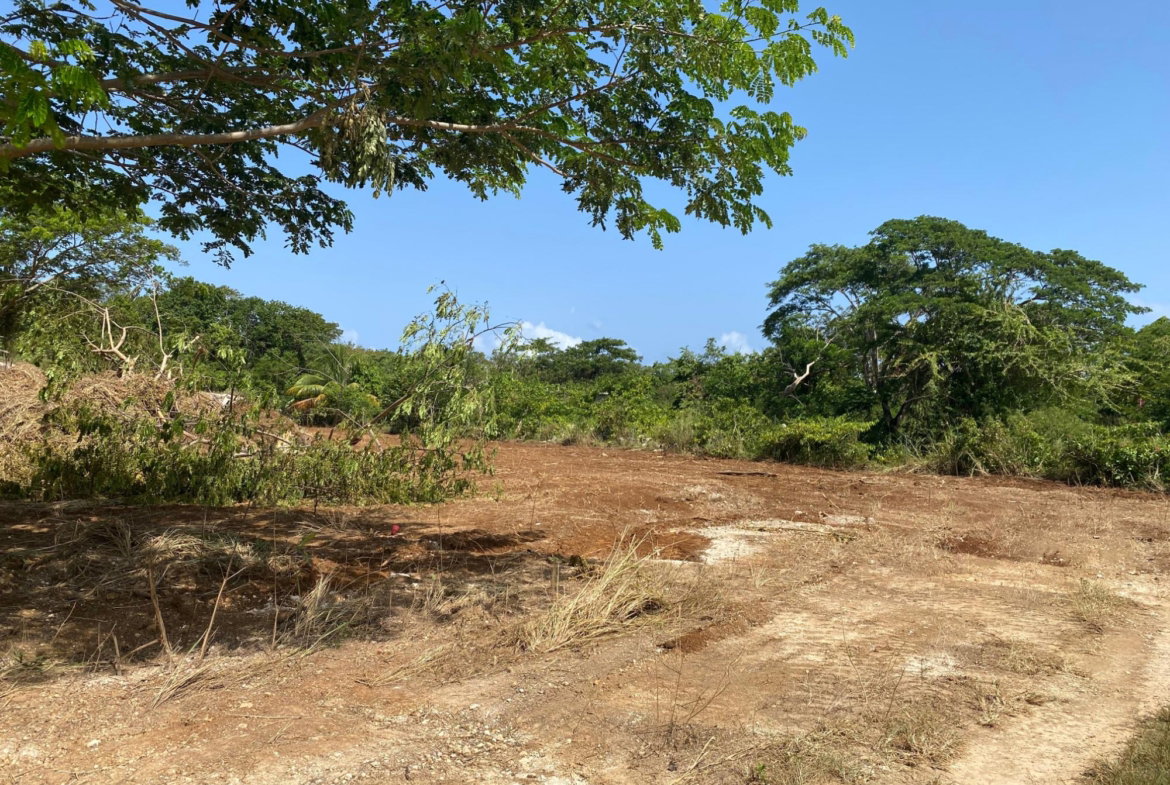 Twenty-Eighth image of Lot 455 Duncans Avenue in DUNCAN BAY, Trelawny, Jamaica - property is For Sale