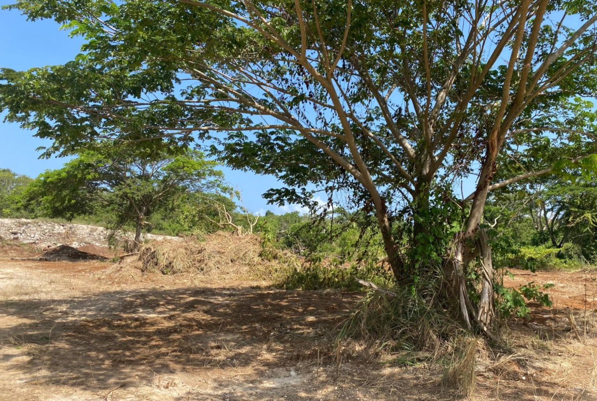 Twenty-Ninth image of Lot 455 Duncans Avenue in DUNCAN BAY, Trelawny, Jamaica - property is For Sale