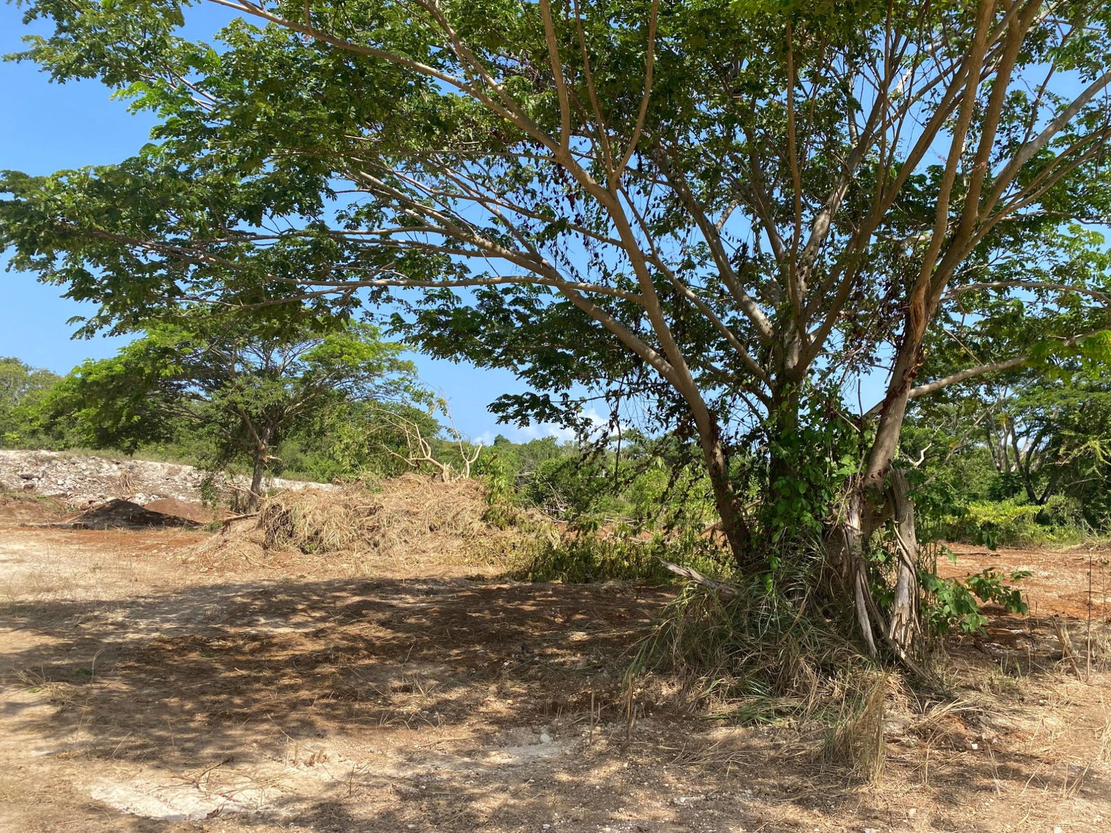 Twenty-Ninth image of Lot 455 Duncans Avenue in DUNCAN BAY, Trelawny, Jamaica - property is For Sale