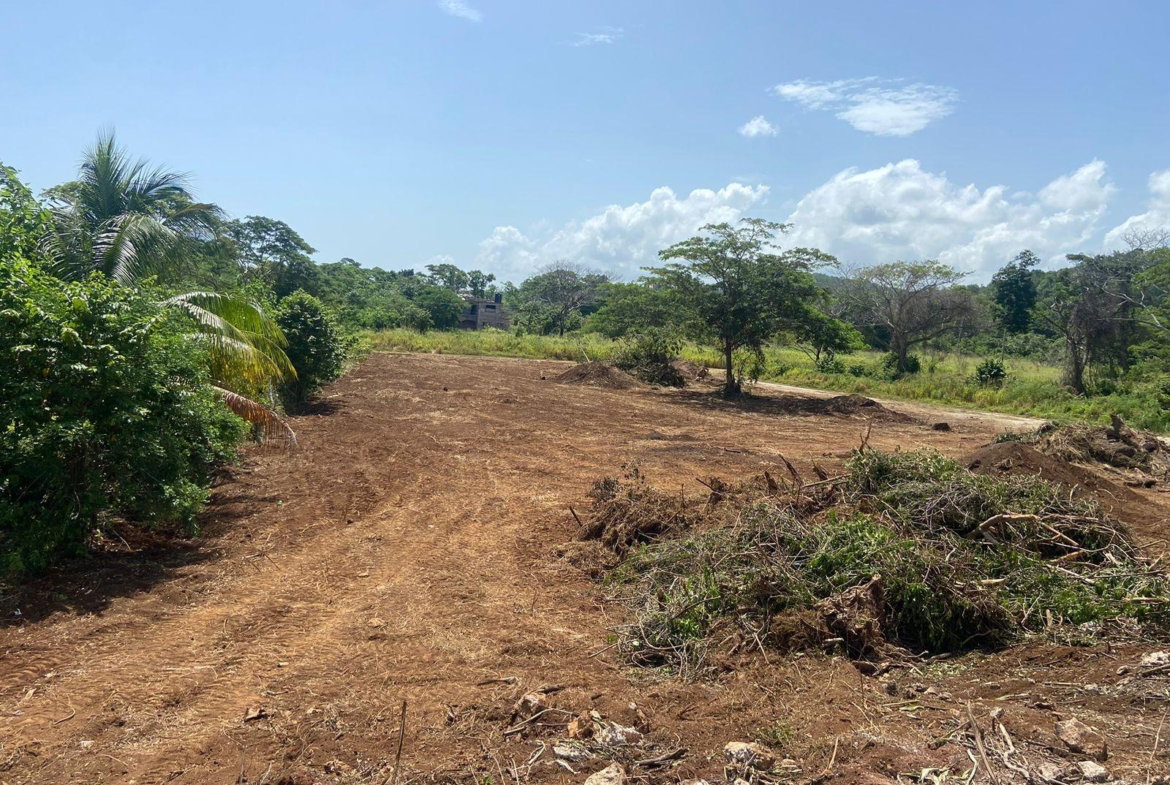 Fourth image of Lot 455 Duncans Avenue in DUNCAN BAY, Trelawny, Jamaica - property is For Sale