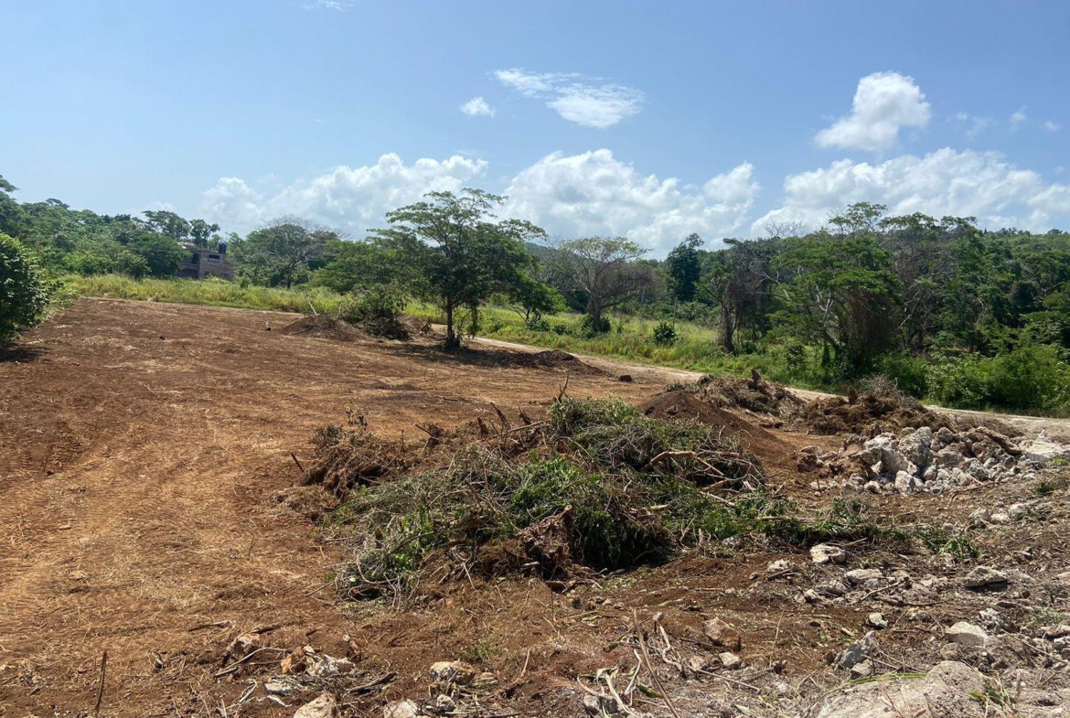 Fifth image of Lot 455 Duncans Avenue in DUNCAN BAY, Trelawny, Jamaica - property is For Sale