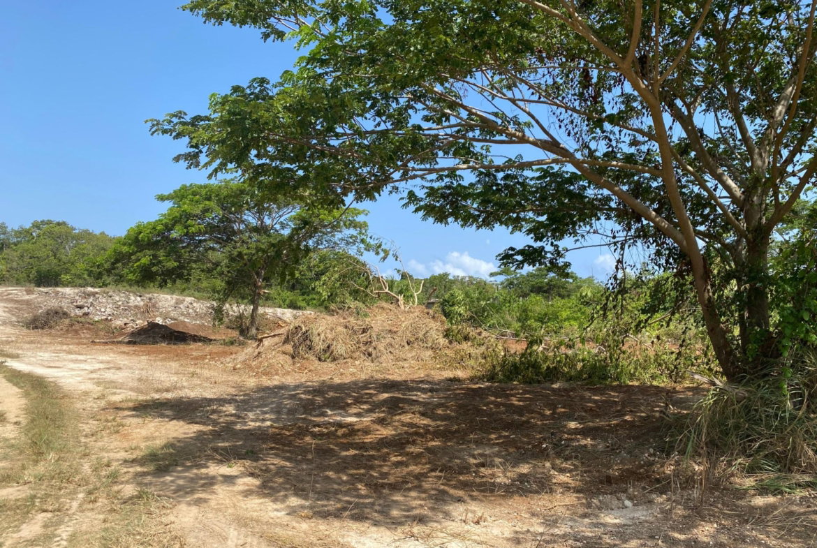 Ninth image of Lot 455 Duncans Avenue in DUNCAN BAY, Trelawny, Jamaica - property is For Sale
