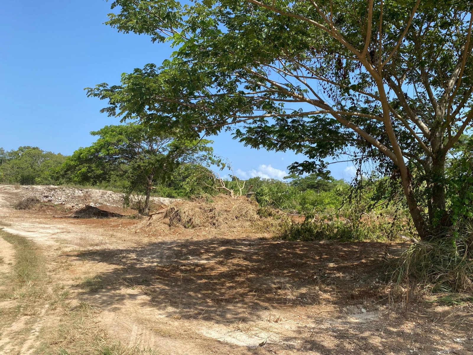 Ninth image of Lot 455 Duncans Avenue in DUNCAN BAY, Trelawny, Jamaica - property is For Sale