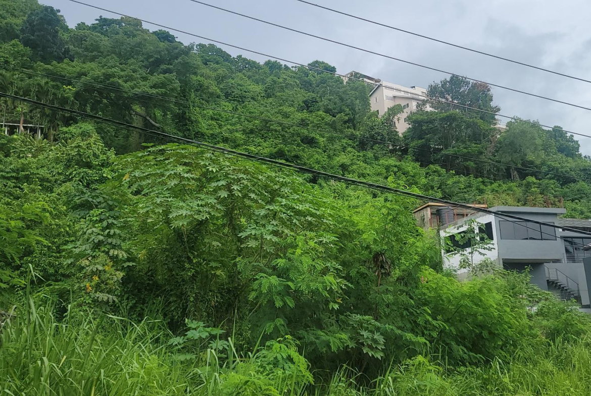 Fourth image of 93 Sunset Avenue, Kingston 8 in Kingston 8, St. Andrew, Jamaica - property is For Sale