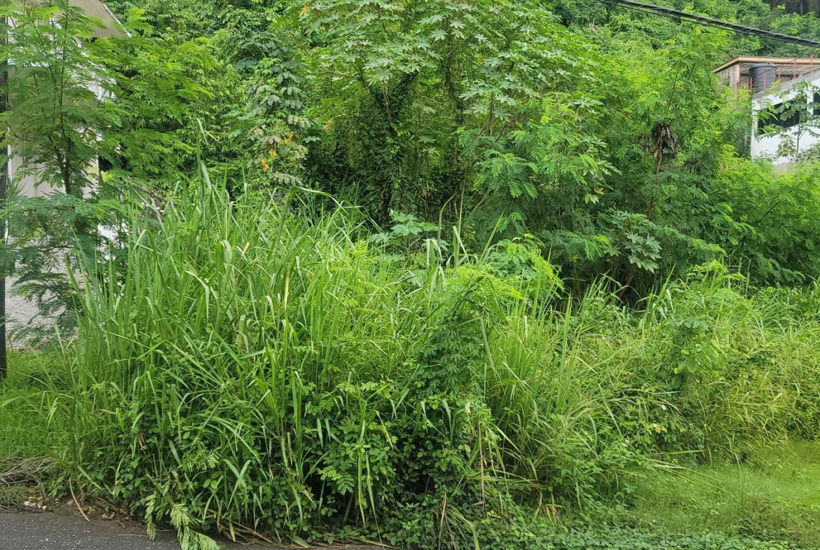 Fifth image of 93 Sunset Avenue, Kingston 8 in Kingston 8, St. Andrew, Jamaica - property is For Sale