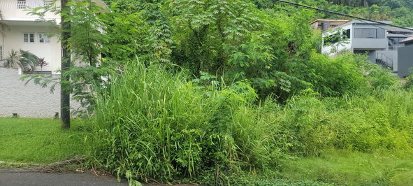 Fifth image of 93 Sunset Avenue, Kingston 8 in Kingston 8, St. Andrew, Jamaica - property is For Sale