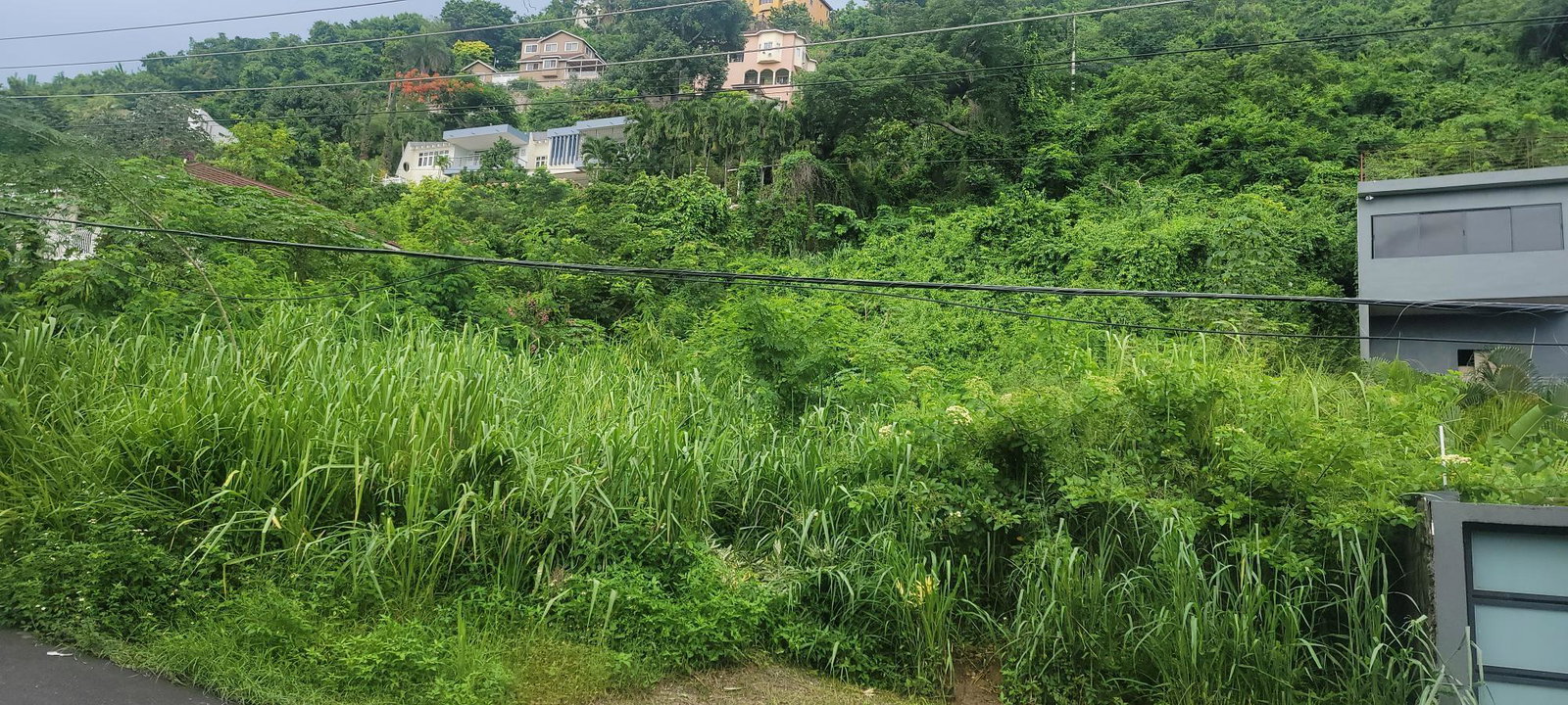 Seventh image of 93 Sunset Avenue, Kingston 8 in Kingston 8, St. Andrew, Jamaica - property is For Sale