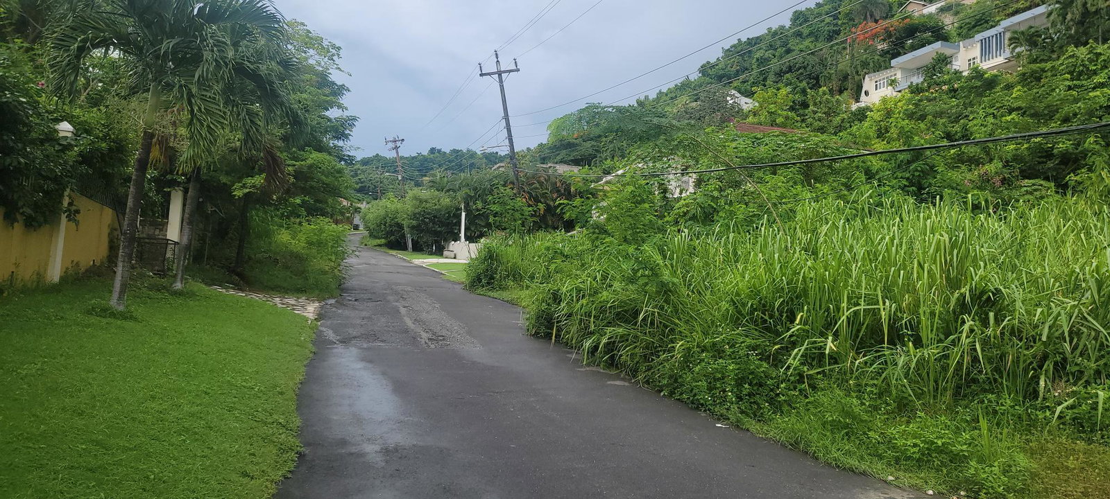 Ninth image of 93 Sunset Avenue, Kingston 8 in Kingston 8, St. Andrew, Jamaica - property is For Sale