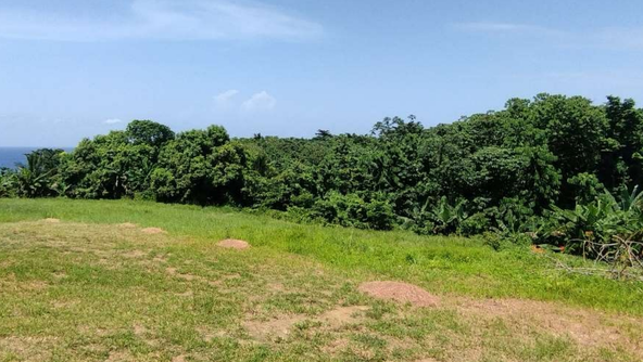 Second image of Lot 7 Retreat in Black Hill, Portland, Jamaica - property is For Sale
