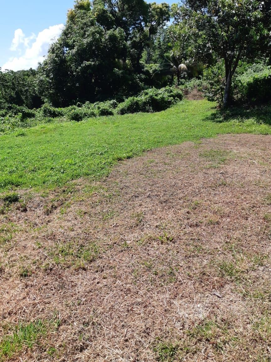 Eleventh image of Lot 7 Retreat in Black Hill, Portland, Jamaica - property is For Sale