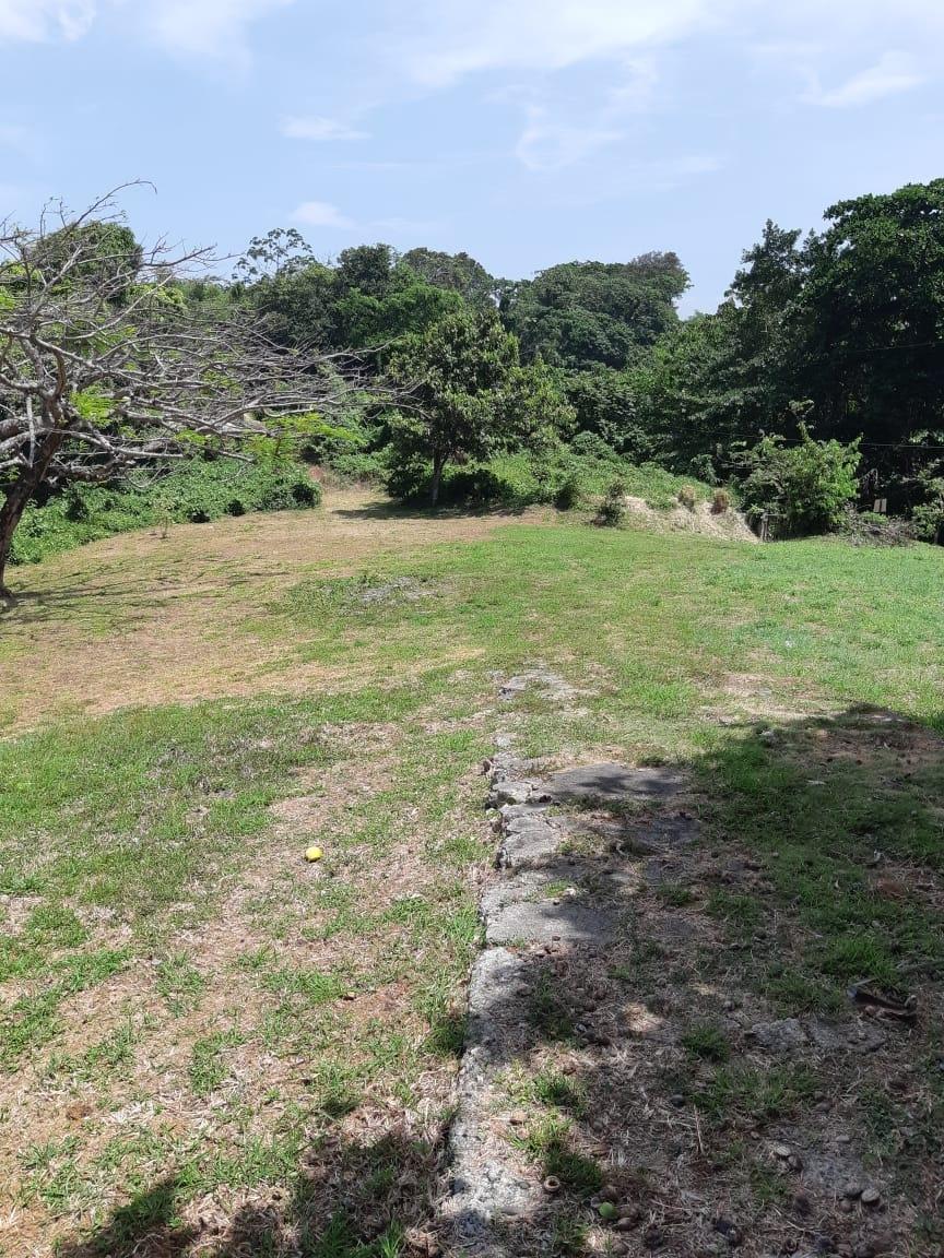 Thirteenth image of Lot 7 Retreat in Black Hill, Portland, Jamaica - property is For Sale