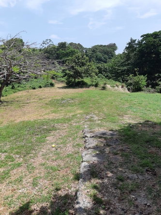 Thirteenth image of Lot 7 Retreat in Black Hill, Portland, Jamaica - property is For Sale