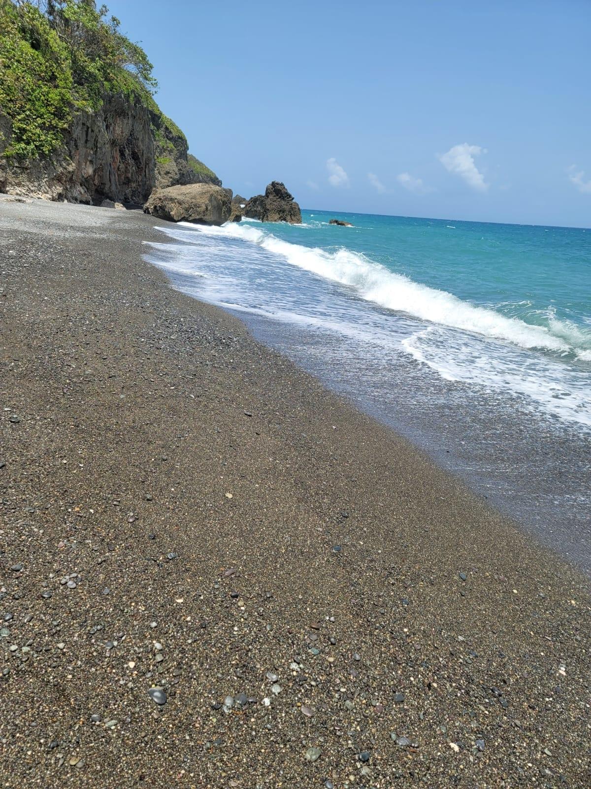 Sixteenth image of Lot 7 Retreat in Black Hill, Portland, Jamaica - property is For Sale