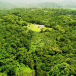 First image of Lot 7 Retreat in Black Hill, Portland, Jamaica - property is For Sale