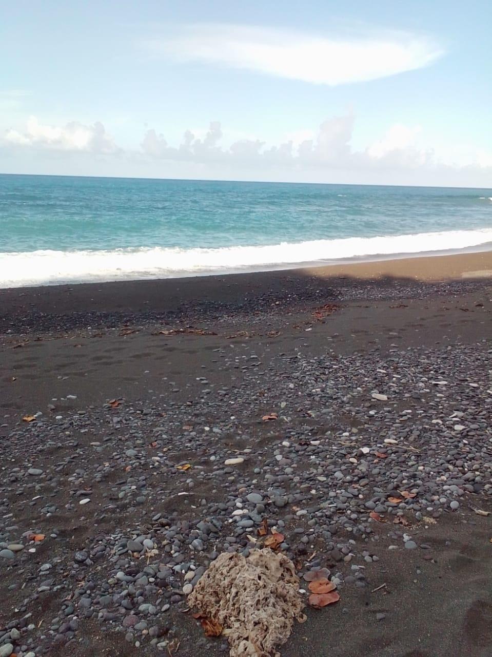 Twentieth image of Lot 7 Retreat in Black Hill, Portland, Jamaica - property is For Sale