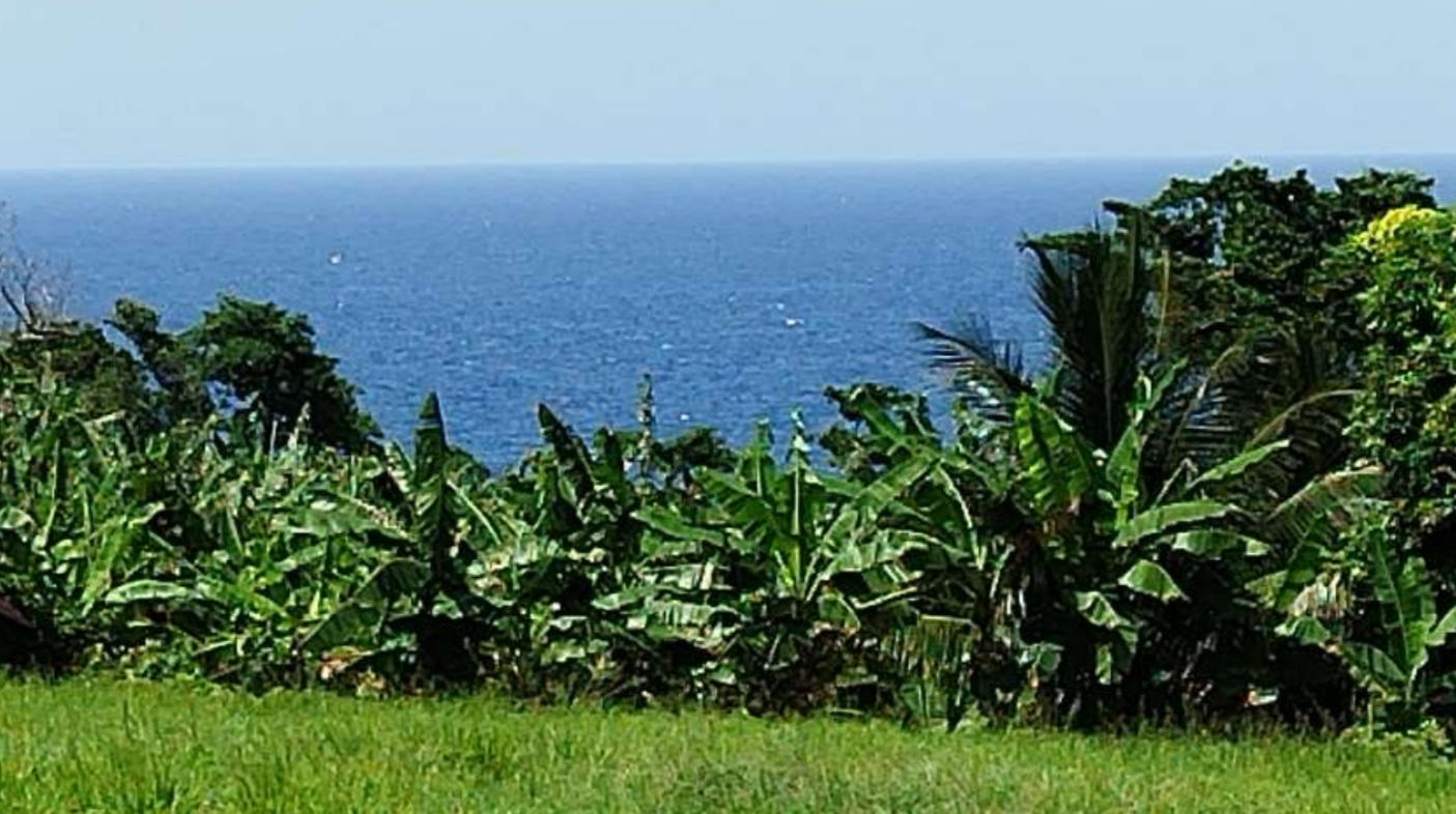 Third image of Lot 7 Retreat in Black Hill, Portland, Jamaica - property is For Sale