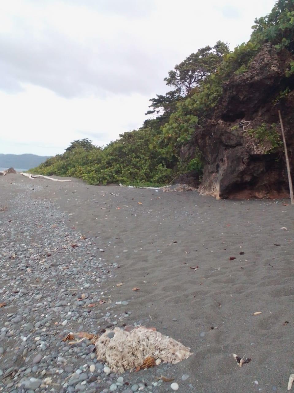 Twenty-First image of Lot 7 Retreat in Black Hill, Portland, Jamaica - property is For Sale