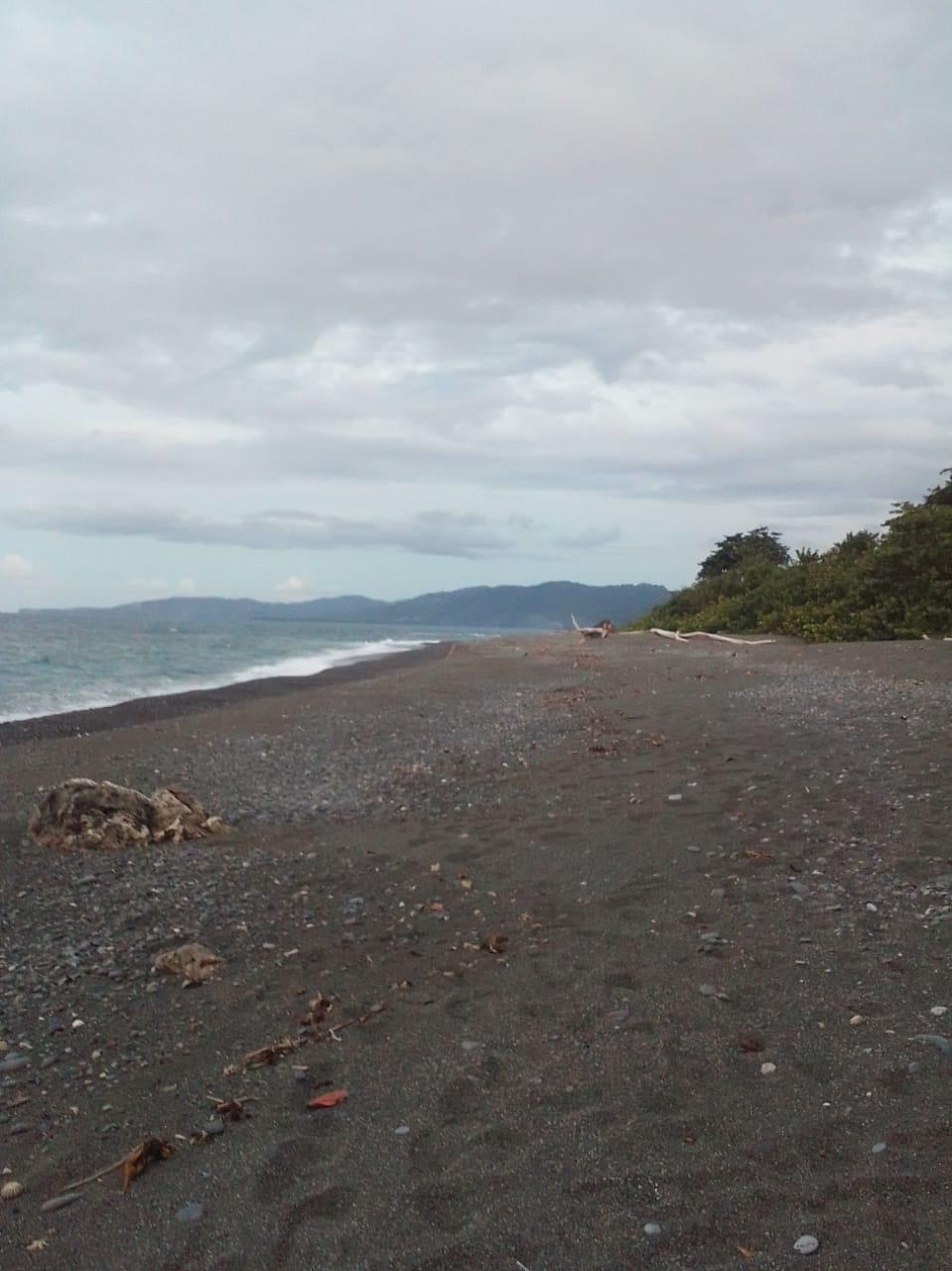 Twenty-Second image of Lot 7 Retreat in Black Hill, Portland, Jamaica - property is For Sale