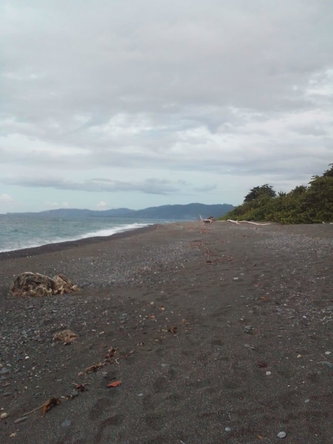 Twenty-Second image of Lot 7 Retreat in Black Hill, Portland, Jamaica - property is For Sale