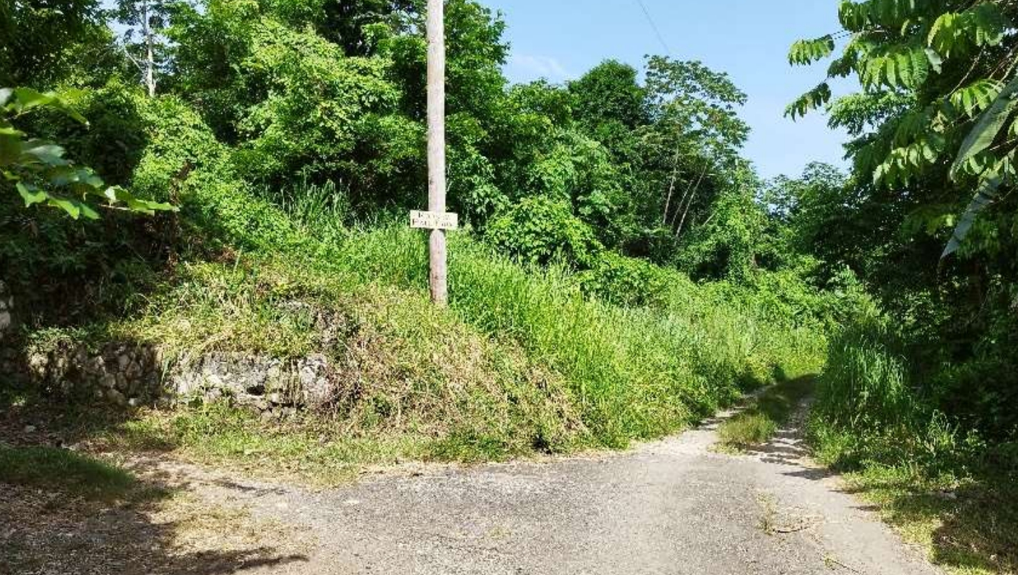 Twenty-Third image of Lot 7 Retreat in Black Hill, Portland, Jamaica - property is For Sale
