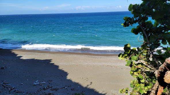 Fourth image of Lot 7 Retreat in Black Hill, Portland, Jamaica - property is For Sale