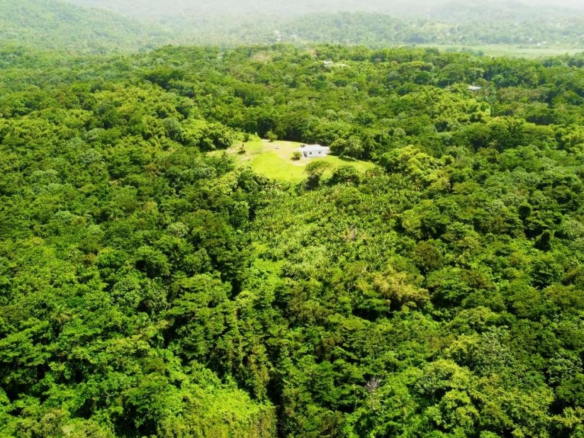 First image of Lot 7 Retreat in Black Hill, Portland, Jamaica - property is For Sale