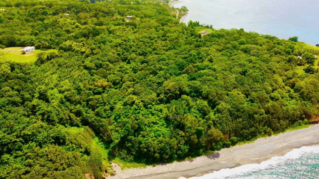 Seventh image of Lot 7 Retreat in Black Hill, Portland, Jamaica - property is For Sale
