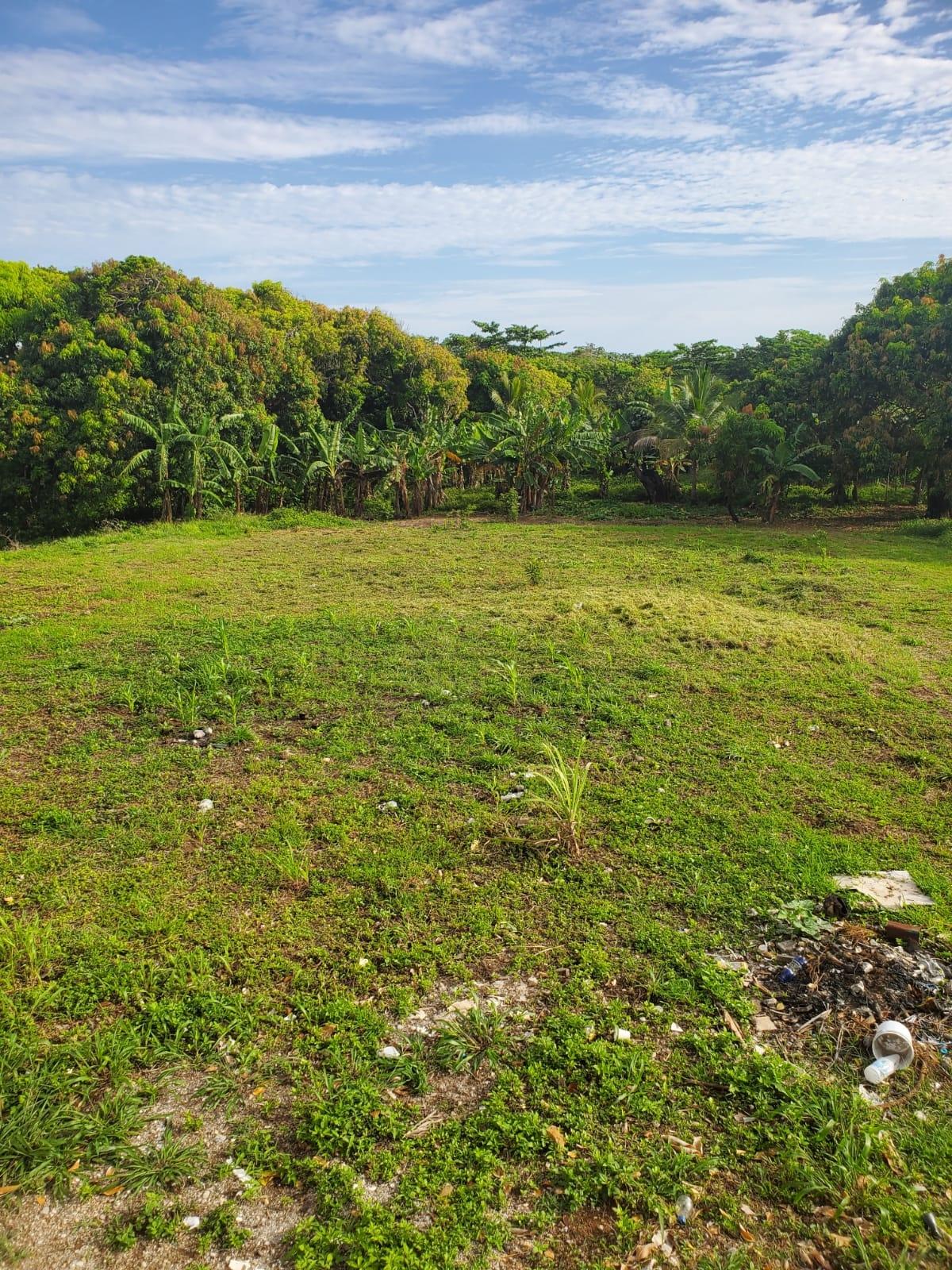 Eighth image of Lot 7 Retreat in Black Hill, Portland, Jamaica - property is For Sale
