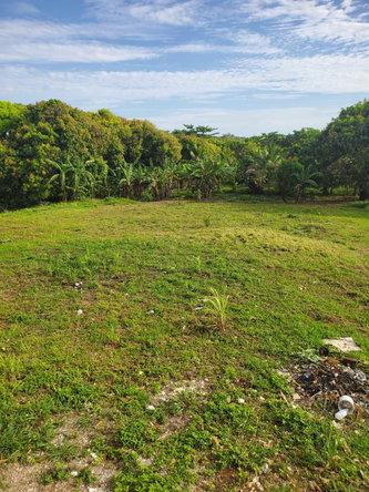 Eighth image of Lot 7 Retreat in Black Hill, Portland, Jamaica - property is For Sale