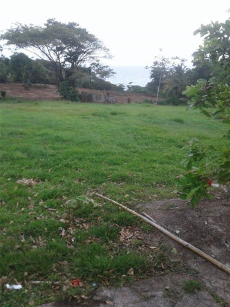 Ninth image of Lot 7 Retreat in Black Hill, Portland, Jamaica - property is For Sale