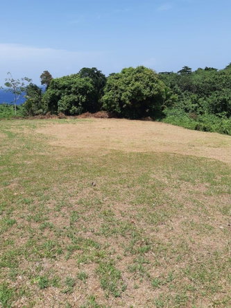 Tenth image of Lot 7 Retreat in Black Hill, Portland, Jamaica - property is For Sale