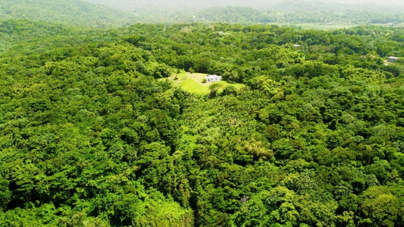 First image of Lot 7 Retreat in Black Hill, Portland, Jamaica - property is For Sale