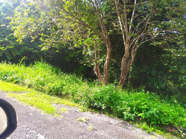 Ninth image of 202 Tripoli Drive in Runaway Bay, St. Ann, Jamaica - property is For Sale