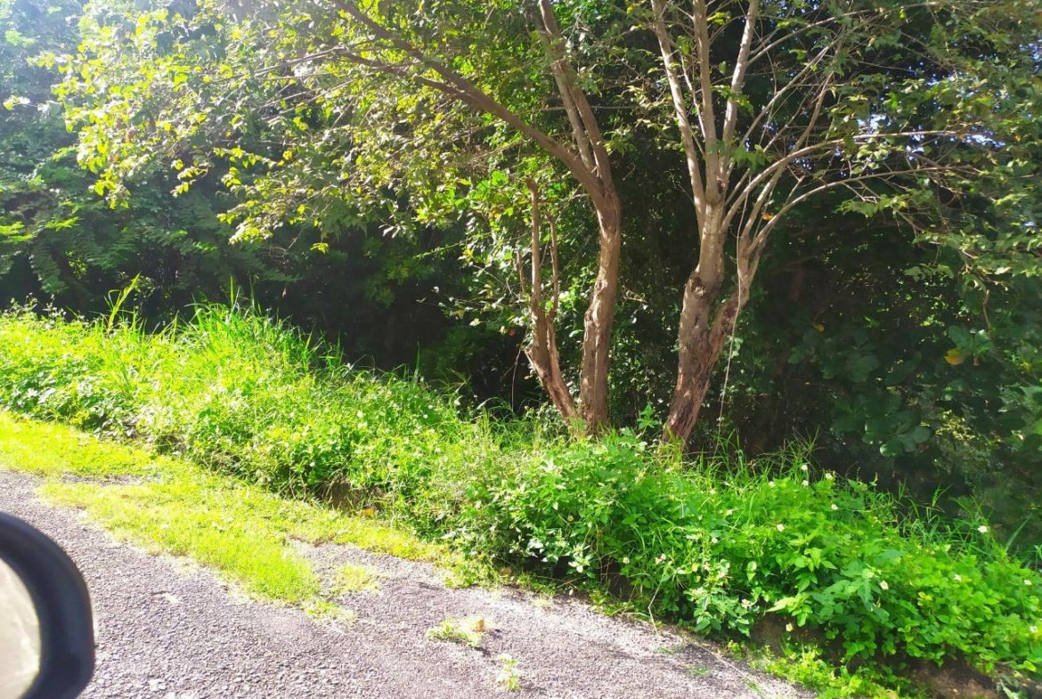 Sixth image of 203 Tripoli Drive in Runaway Bay, St. Ann, Jamaica - property is For Sale