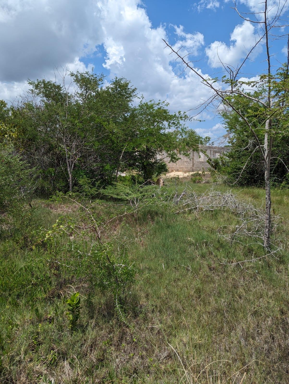 Second image of 265 Fullerswood, Black River in Black River, St. Elizabeth, Jamaica - property is For Sale