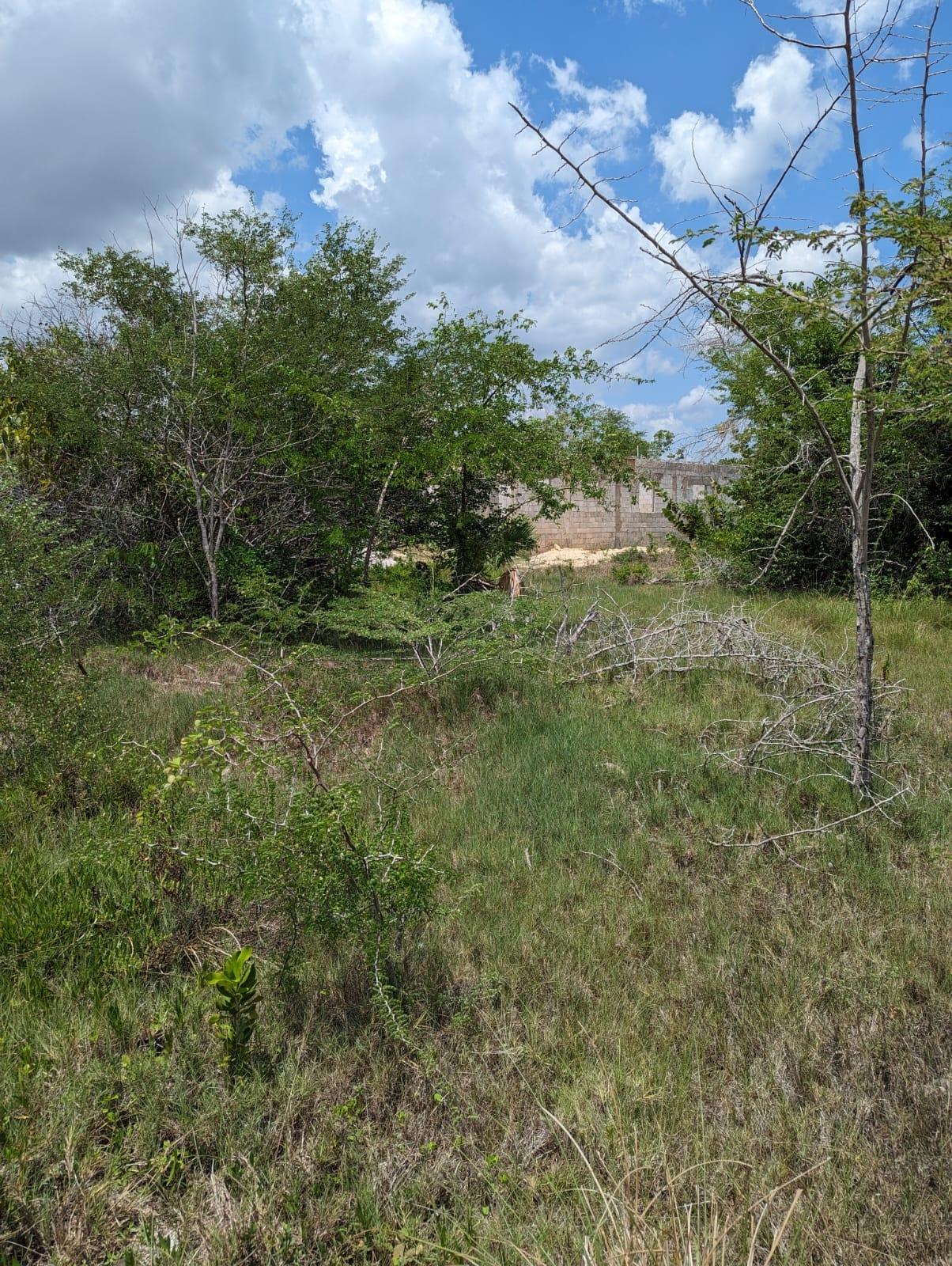 Fifth image of 265 Fullerswood, Black River in Black River, St. Elizabeth, Jamaica - property is For Sale
