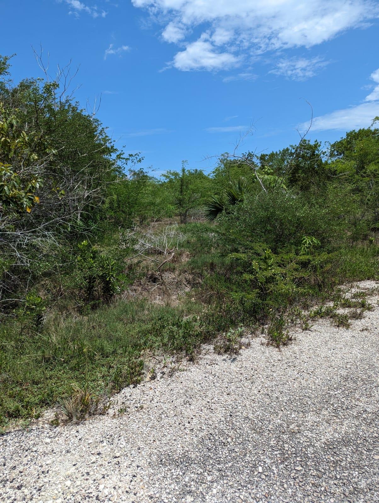 Eighth image of 265 Fullerswood, Black River in Black River, St. Elizabeth, Jamaica - property is For Sale