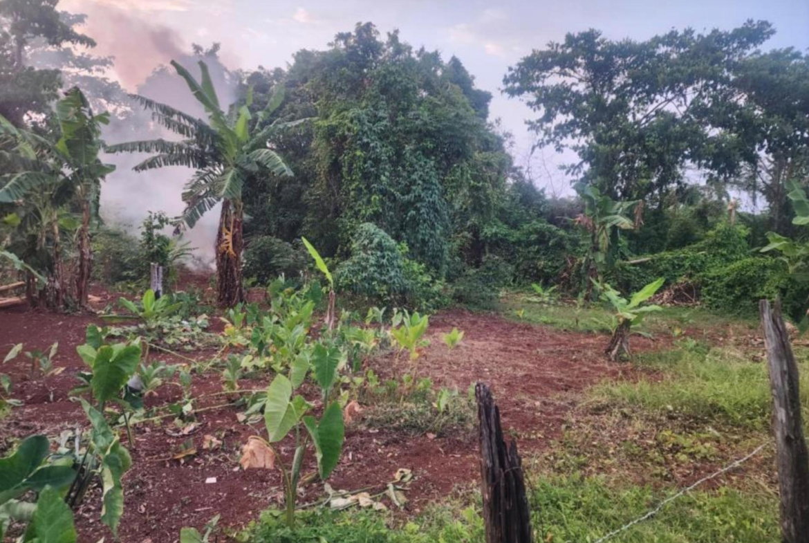 Second image of Hampstead, Runaway Bay in Runaway Bay, St. Ann, Jamaica - property is For Sale