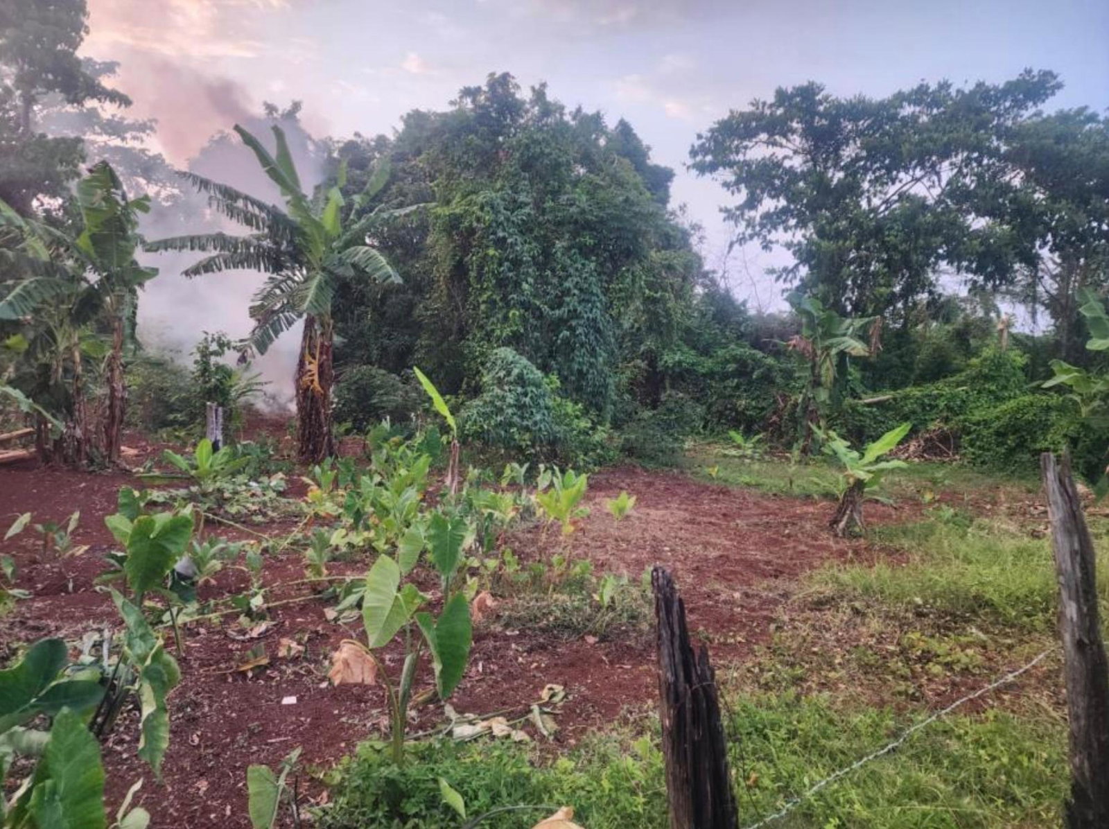 Second image of Hampstead, Runaway Bay in Runaway Bay, St. Ann, Jamaica - property is For Sale