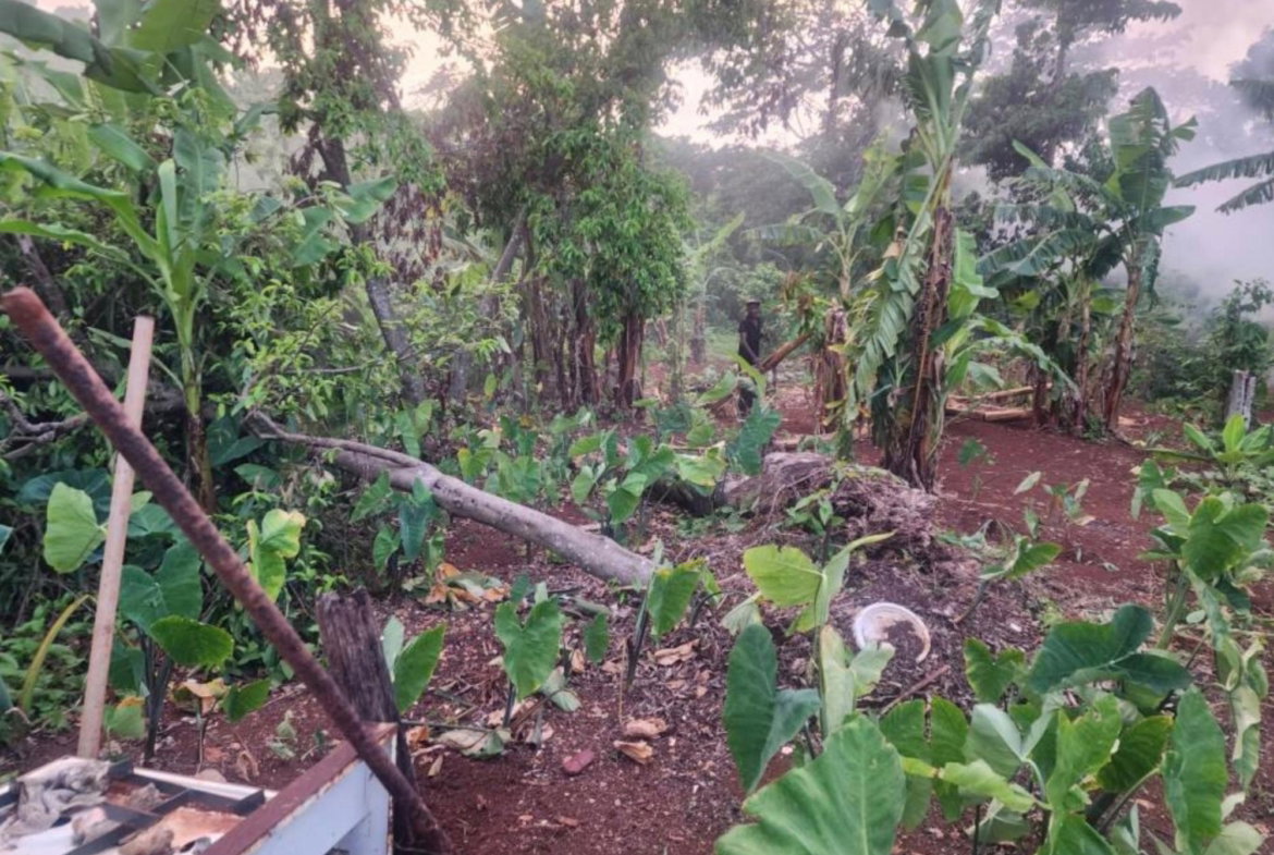 First image of Hampstead, Runaway Bay in Runaway Bay, St. Ann, Jamaica - property is For Sale