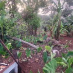 First image of Hampstead, Runaway Bay in Runaway Bay, St. Ann, Jamaica - property is For Sale