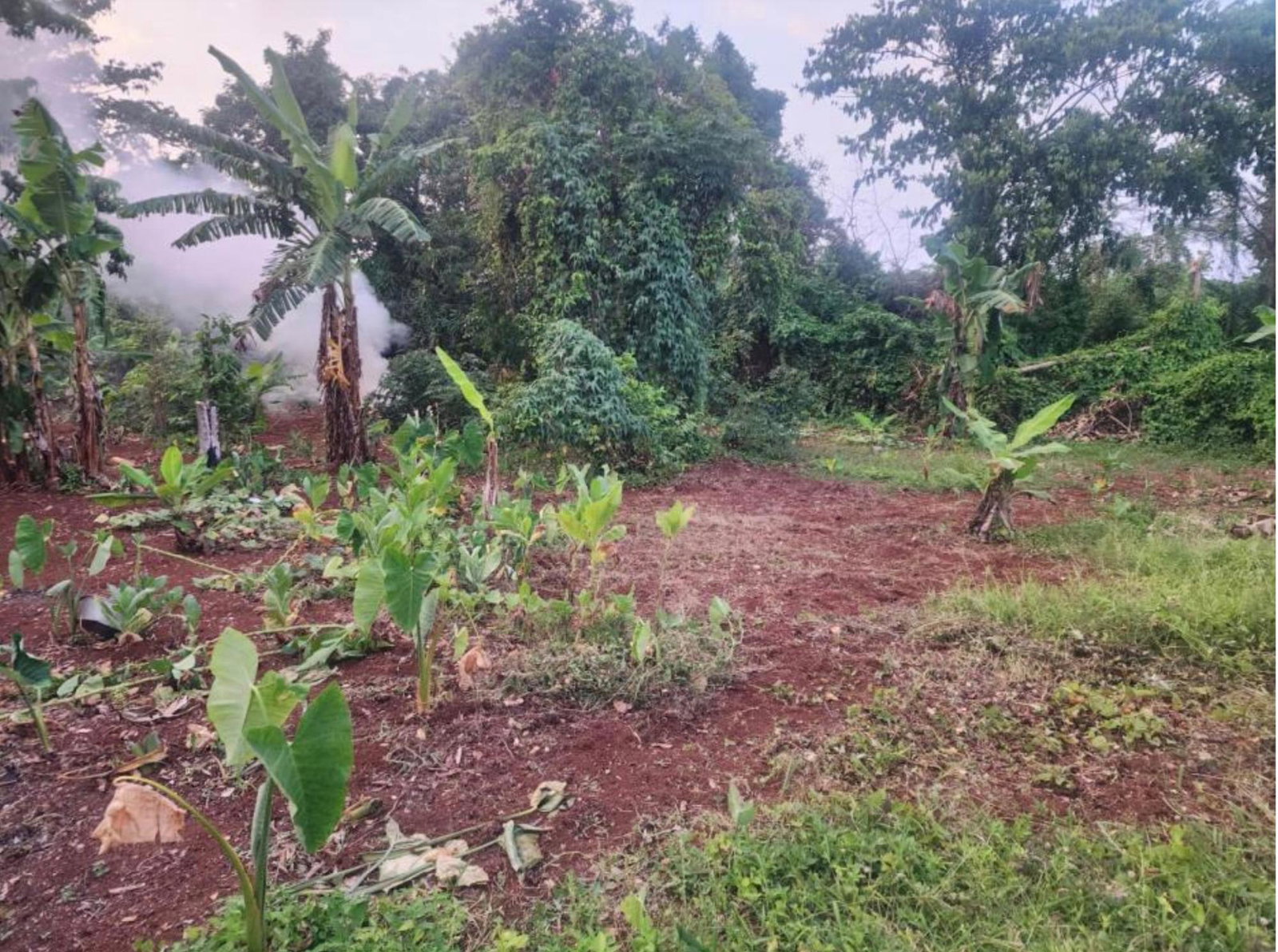 Third image of Hampstead, Runaway Bay in Runaway Bay, St. Ann, Jamaica - property is For Sale