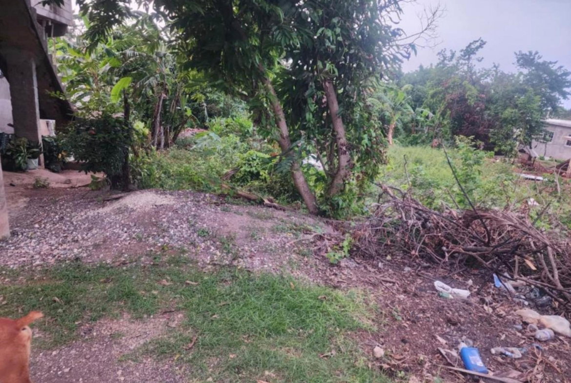 Fifth image of Hampstead, Runaway Bay in Runaway Bay, St. Ann, Jamaica - property is For Sale