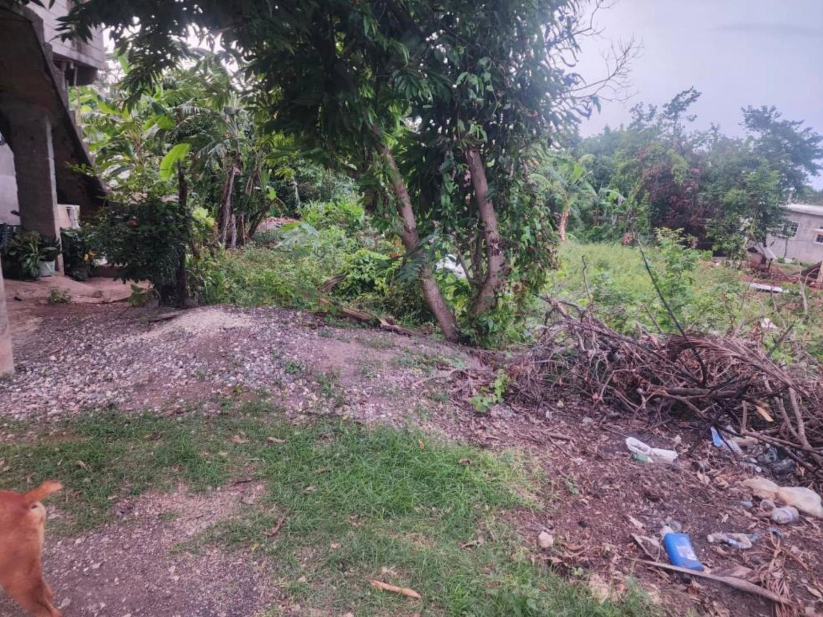 Fifth image of Hampstead, Runaway Bay in Runaway Bay, St. Ann, Jamaica - property is For Sale