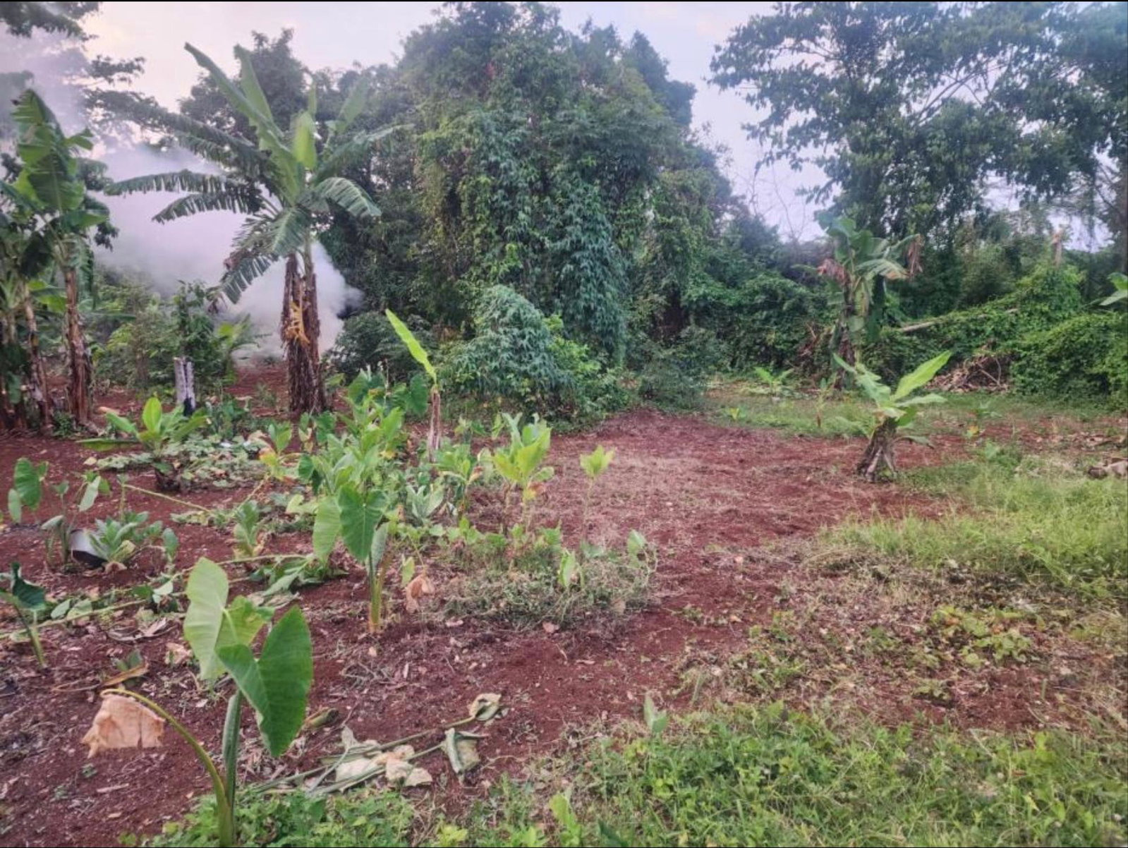 Sixth image of Hampstead, Runaway Bay in Runaway Bay, St. Ann, Jamaica - property is For Sale